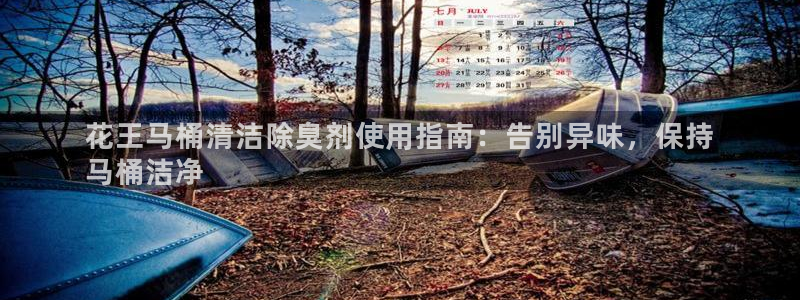 凯时官网的售后服务：花王马桶清洁除臭剂使用指南：告别异味