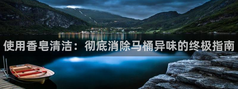 尊龙凯时app官方网站：使用香皂清洁：彻底消除马桶异味的