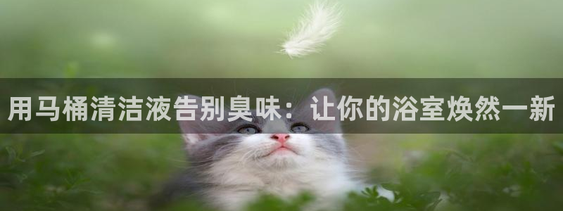 尊龙凯时能做退米么：用马桶清洁液告别臭味：让你的浴室焕然