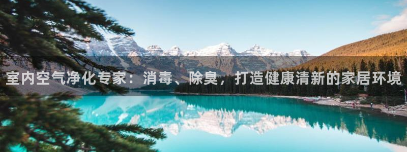 尊龙手机官方客户端下载：室内空气净化专家：消毒、除臭，打