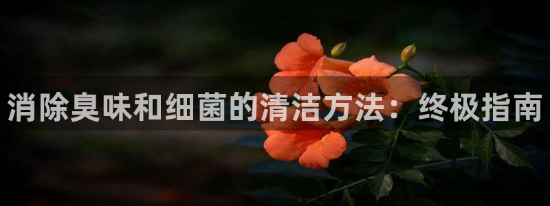 尊龙2021年最新消息：消除臭味和细菌的清洁方法：终极指