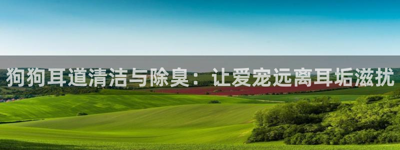 尊龙t400和尊龙t300区别：狗狗耳道清洁与除臭：让爱