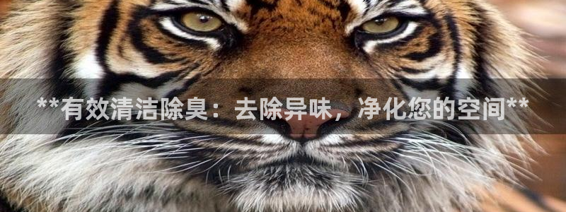 凯时官网下载客户端：**有效清洁除臭：去除异味，净化您的