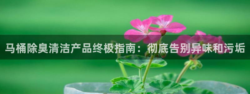 尊龙现金推荐ag发财网：马桶除臭清洁产品终极指南：彻底告