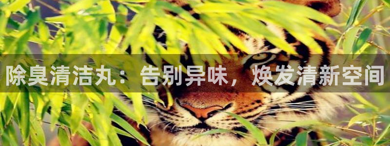 尊龙app怎么样