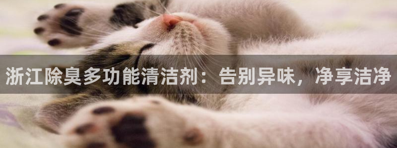 尊龙凯时网娱乐最新版下载：浙江除臭多功能清洁剂：告别异味