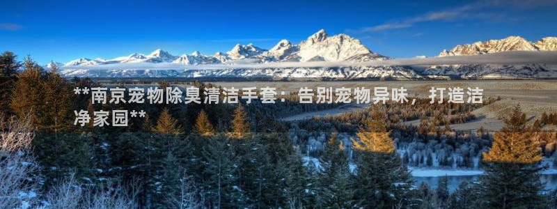 KB88凯时官网登录：**南京宠物除臭清洁手套：告别宠物
