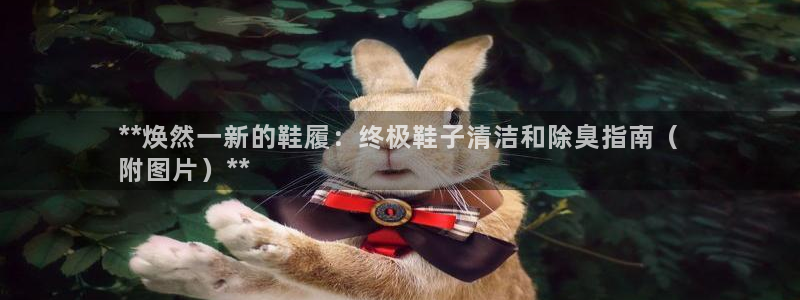 尊龙,人生就是博!登录国际：**焕然一新的鞋履：终极鞋子