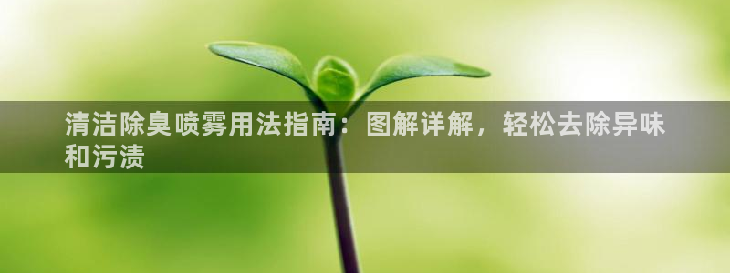 kb88凯时SO权威AG发财网：清洁除臭喷雾用法指南：图