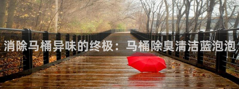 尊龙凯时最新平台登陆：消除马桶异味的终极：马桶除臭清洁蓝