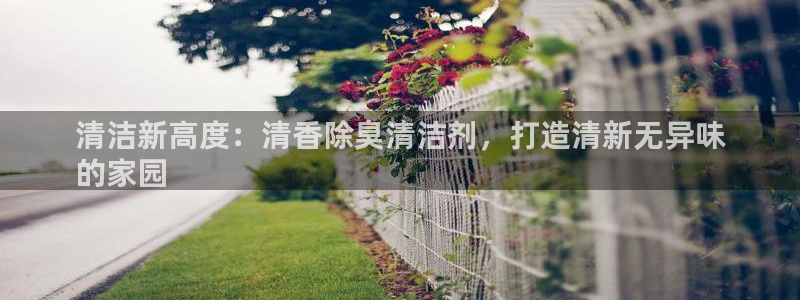 尊龙凯时的最新消息：清洁新高度：清香除臭清洁剂，打造清新