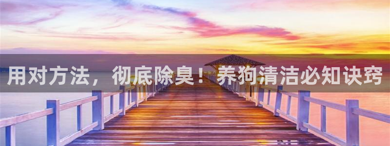 尊龙网平台：用对方法，彻底除臭！养狗清洁必知诀窍