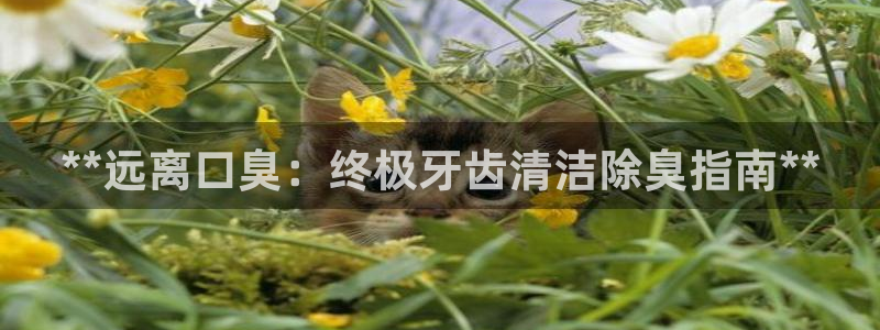 尊龙凯时请求参数不符合：**远离口臭：终极牙齿清洁除臭指