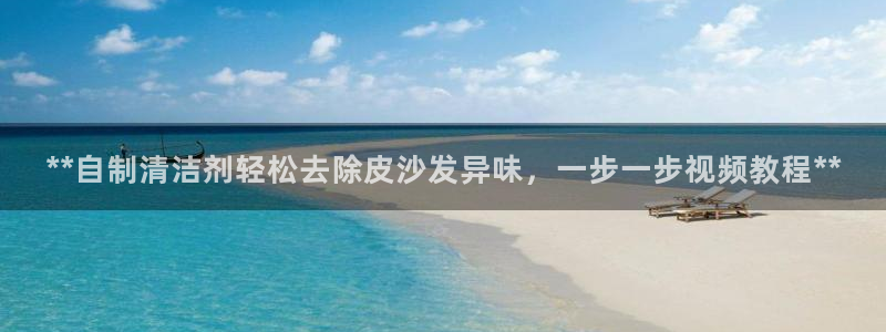 尊龙官方网站最新版V9.3.06