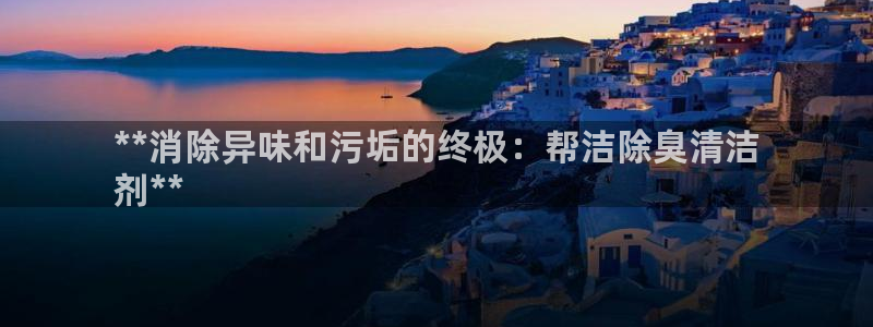 凯时APP官网首页：**消除异味和污垢的终极：帮洁除臭清