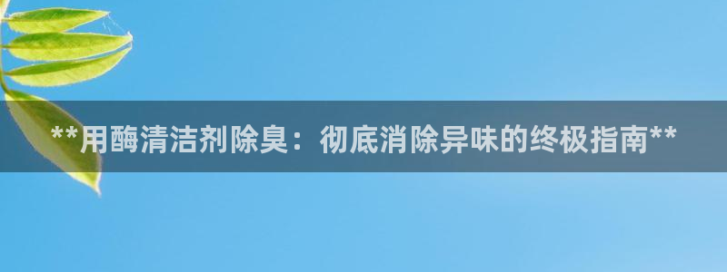 凯时登录界面：**用酶清洁剂除臭：彻底消除异味的终极指南
