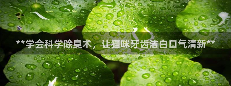 有人在凯时赢过钱吗：**学会科学除臭术，让猫咪牙齿洁白口