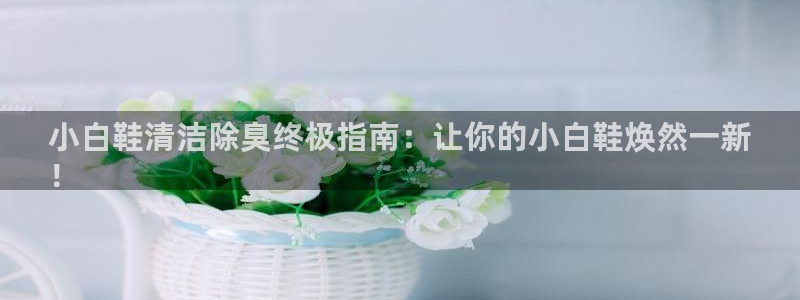 尊龙AG旗舰店