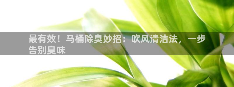 凯时首页地址