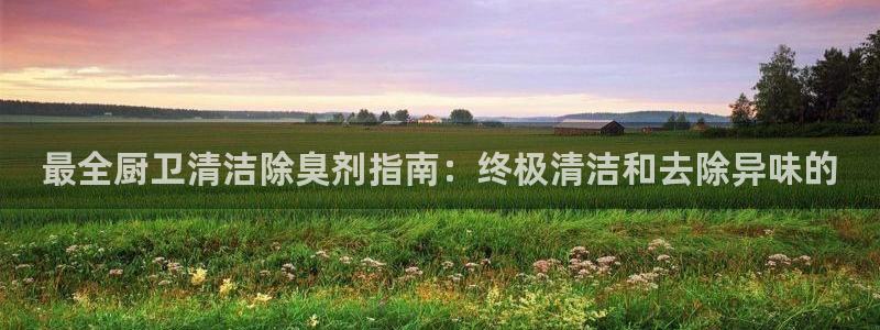 尊龙凯时游戏厅：最全厨卫清洁除臭剂指南：终极清洁和去除异