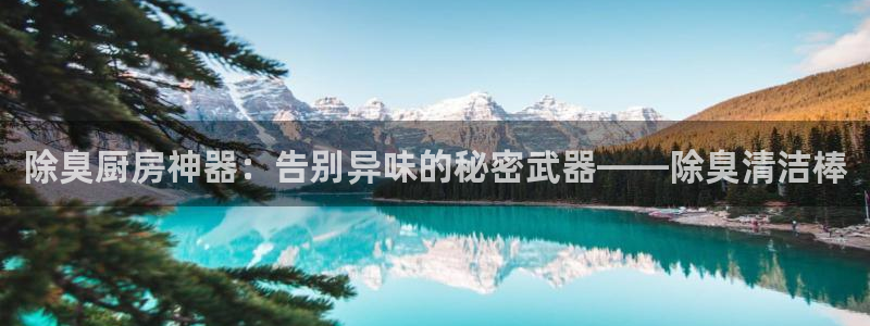 凯时kb88官网网址：除臭厨房神器：告别异味的秘密武器—