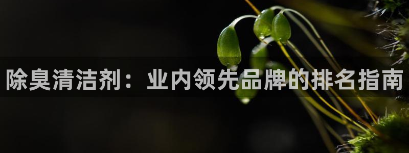 尊龙d88官网so问来就送38