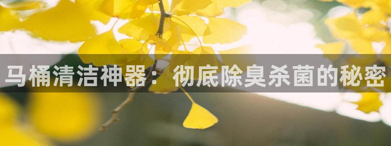 尊龙官方平台