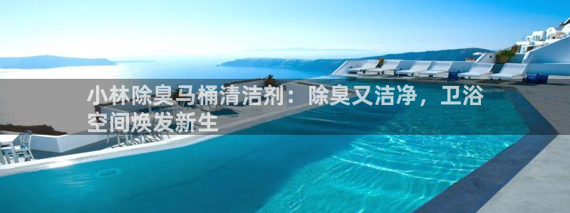 尊龙王t400：小林除臭马桶清洁剂：除臭又洁净，卫浴
空