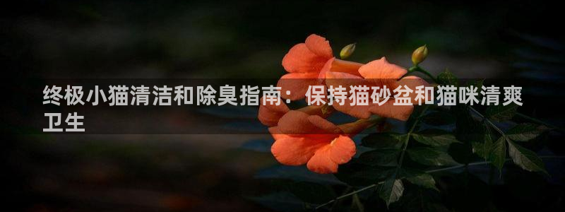 尊龙凯时是赌博嘛