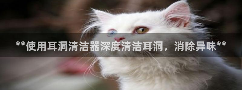 尊龙凯时是正规平台吗