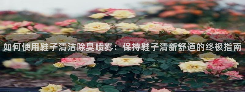 尊龙凯时网娱乐最新版下载：如何使用鞋子清洁除臭喷雾：保持
