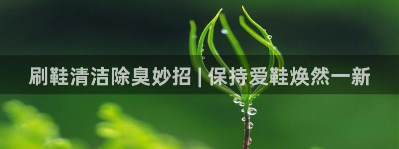 尊龙凯时app安装：刷鞋清洁除臭妙招 | 保持爱鞋焕然一