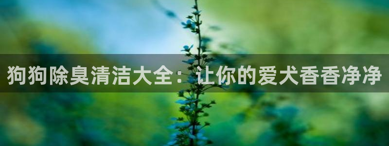 尊龙人生就是博旧版手机可靠送38元