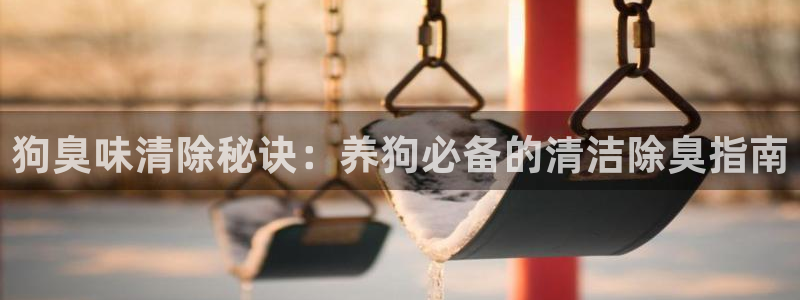 z6尊龙官方网站