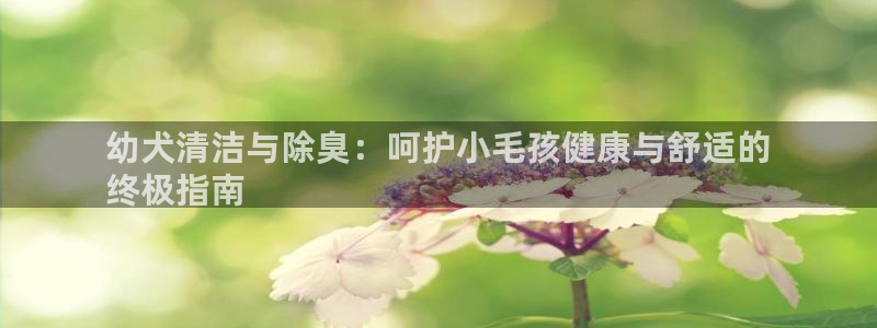 尊龙凯时总部在哪里