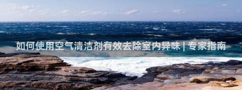 尊龙凯时充值不到账：如何使用空气清洁剂有效去除室内异味 