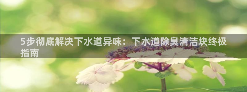 尊龙凯时官方下载