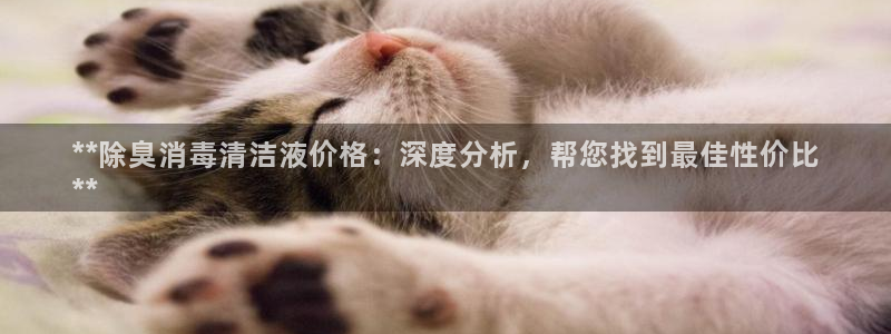 凯时官网手机版首页