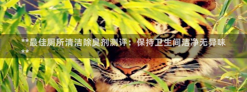 尊龙凯时平台官网