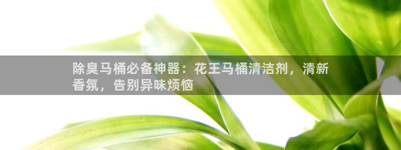 凯时AG网