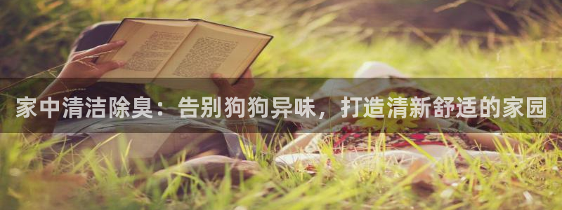 尊龙 ag：家中清洁除臭：告别狗狗异味，打造清新舒适的家