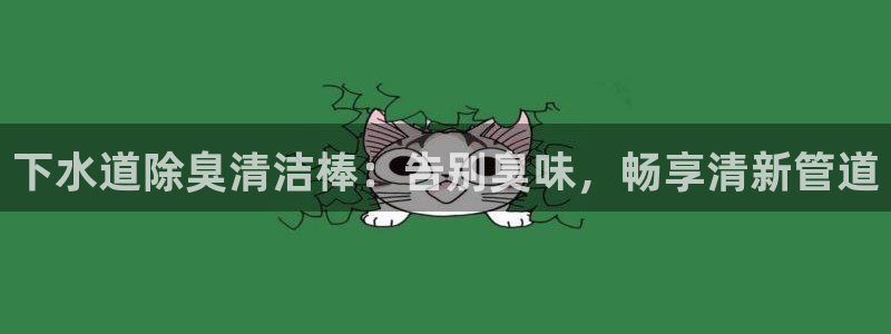 尊龙王t400：下水道除臭清洁棒：告别臭味，畅享清新管道