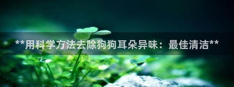 尊龙人生就是博现金：**用科学方法去除狗狗耳朵异味：最佳