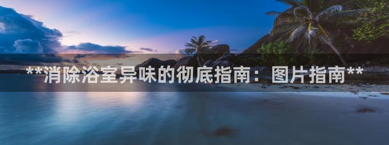 尊龙凯时官网版登录：**消除浴室异味的彻底指南：图片指南