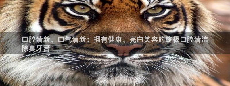 尊龙凯时网页版