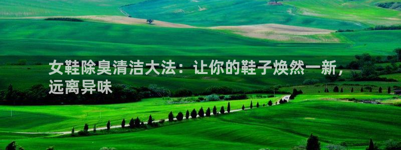 尊龙网址是选访问zd207