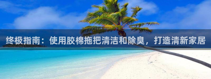 凯时官网：终极指南：使用胶棉拖把清洁和除臭，打造清新家居