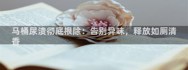 凯时国际app首页