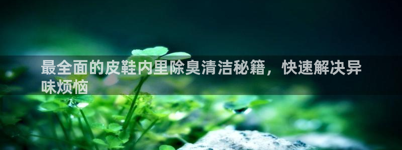尊龙凯时人生就是博官网登录：最全面的皮鞋内里除臭清洁秘籍