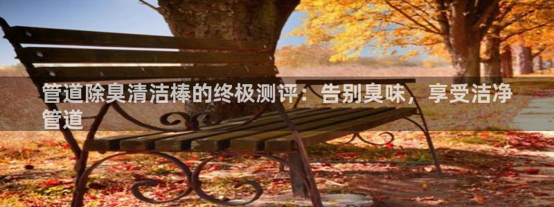 尊龙网站登录：管道除臭清洁棒的终极测评：告别臭味，享受洁